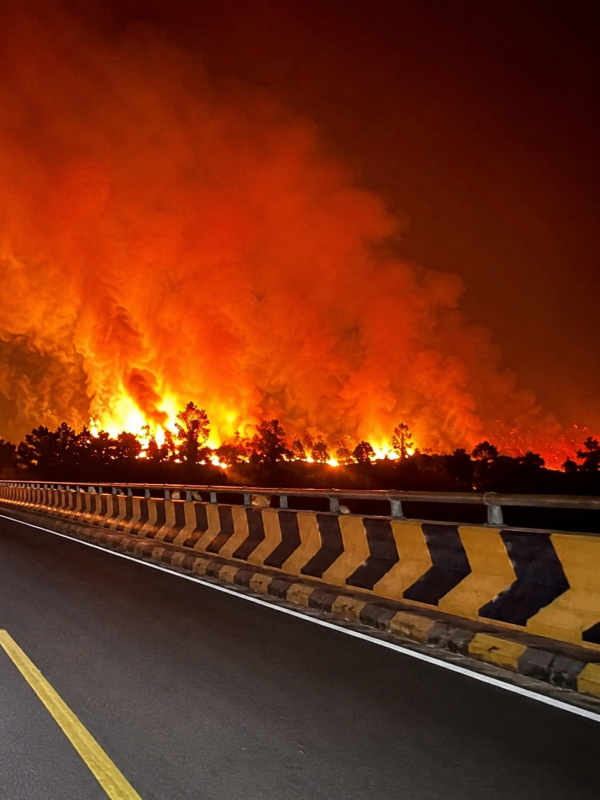 Kebakaran Parah Terjadi di Jembatan Tumbang Nusa, Api Membesar Disertai Asap Tebal Kebakaran Parah Terjadi di Jembatan Tumbang Nusa, Api Membesar Disertai Asap Tebal