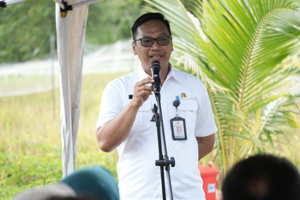 Distanketpang Palangka Raya Bagikan Bibit Cabai Gratis untuk Warga